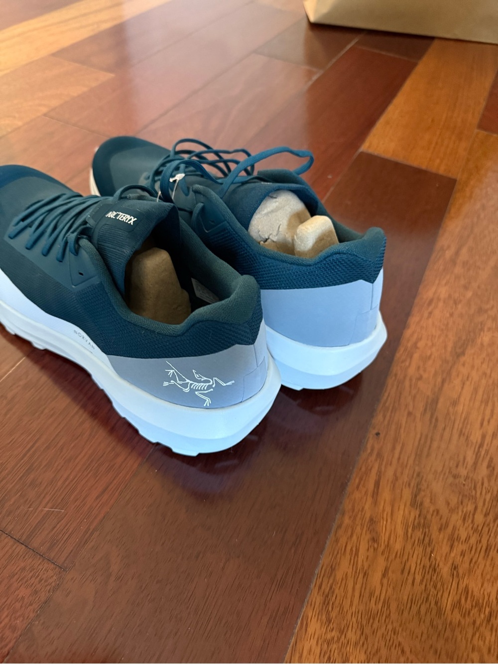 Arc'teryx Men's Sneakers Norvan LD 4 NWT